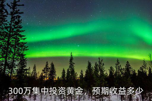 300萬集中投資黃金，預(yù)期收益多少