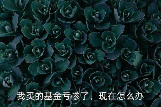 我買的基金虧慘了，現(xiàn)在怎么辦