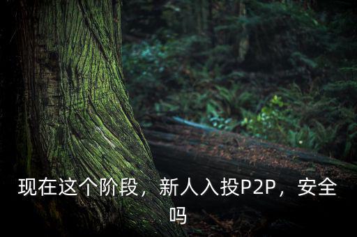 現(xiàn)在這個階段，新人入投P2P，安全嗎