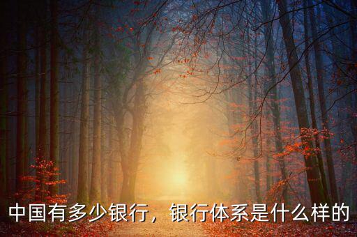 中國有多少銀行，銀行體系是什么樣的