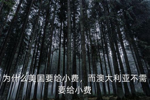 為什么美國要給小費，而澳大利亞不需要給小費