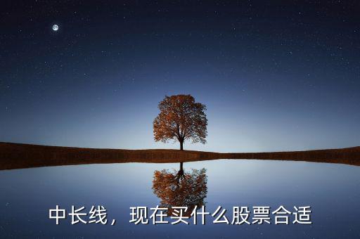 中長(zhǎng)線，現(xiàn)在買什么股票合適