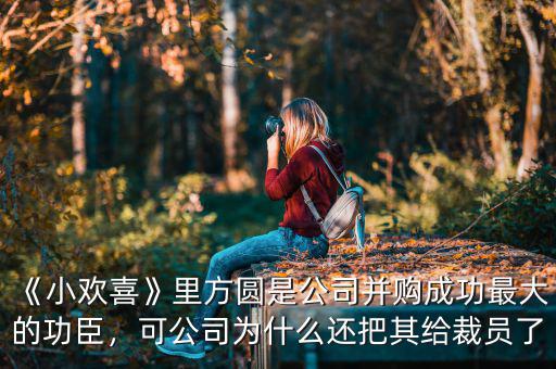 《小歡喜》里方圓是公司并購成功最大的功臣，可公司為什么還把其給裁員了