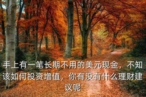手上有一筆長(zhǎng)期不用的美元現(xiàn)金，不知該如何投資增值，你有沒(méi)有什么理財(cái)建議呢
