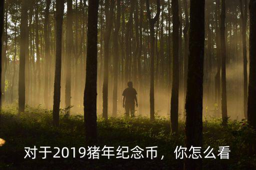 對(duì)于2019豬年紀(jì)念幣，你怎么看
