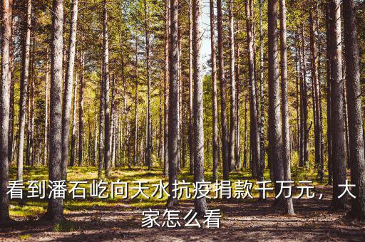 看到潘石屹向天水抗疫捐款千萬元，大家怎么看