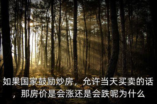 如果國家鼓勵炒房，允許當天買賣的話，那房價是會漲還是會跌呢為什么