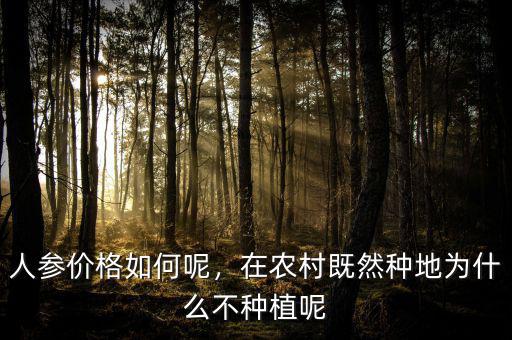 人參價(jià)格如何呢，在農(nóng)村既然種地為什么不種植呢