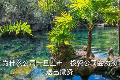 為什么公司一旦上市，投資公司會(huì)紛紛退出撤資