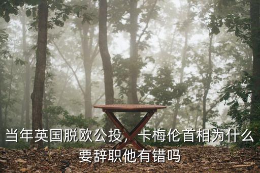 當(dāng)年英國脫歐公投，卡梅倫首相為什么要辭職他有錯(cuò)嗎