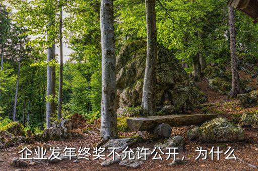 企業(yè)發(fā)年終獎(jiǎng)不允許公開(kāi)，為什么