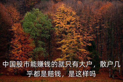 中國股市能賺錢的就只有大戶，散戶幾乎都是賠錢，是這樣嗎