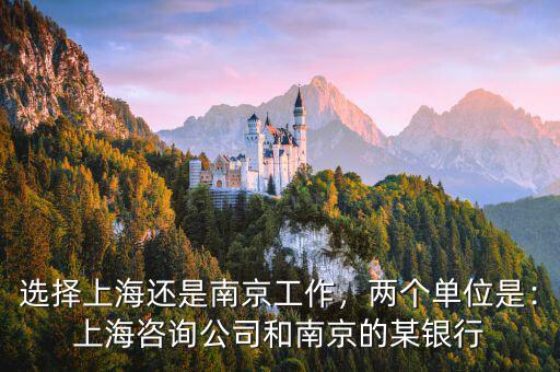 選擇上海還是南京工作，兩個(gè)單位是：上海咨詢公司和南京的某銀行