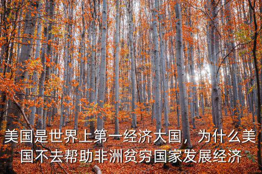 美國是世界上第一經濟大國，為什么美國不去幫助非洲貧窮國家發(fā)展經濟