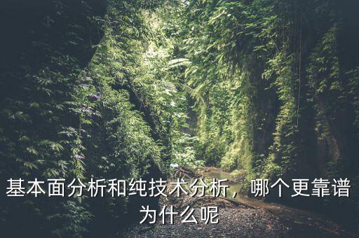 基本面分析和純技術(shù)分析，哪個(gè)更靠譜為什么呢