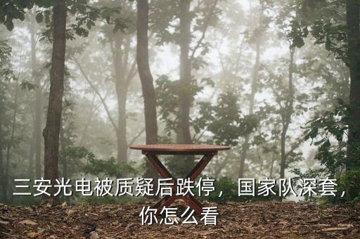 三安光電被質(zhì)疑后跌停，國家隊深套，你怎么看