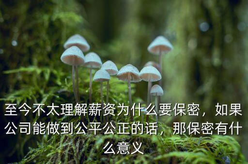 至今不太理解薪資為什么要保密，如果公司能做到公平公正的話，那保密有什么意義