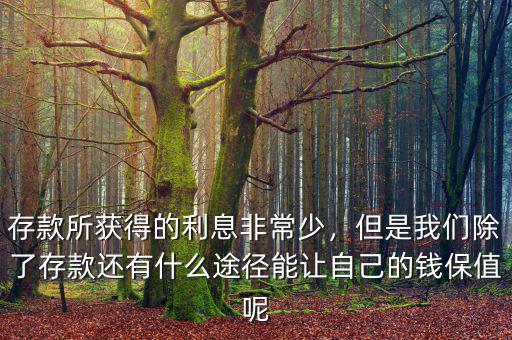 存款所獲得的利息非常少，但是我們除了存款還有什么途徑能讓自己的錢保值呢