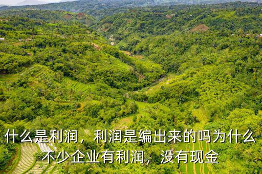 什么是利潤(rùn)，利潤(rùn)是編出來的嗎為什么不少企業(yè)有利潤(rùn)，沒有現(xiàn)金