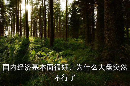 國內(nèi)經(jīng)濟基本面很好，為什么大盤突然不行了