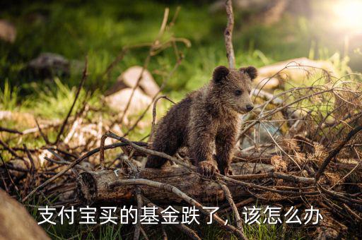 支付寶買(mǎi)的基金跌了，該怎么辦