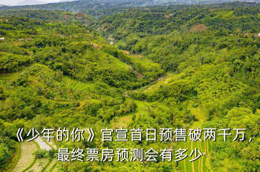 《少年的你》官宣首日預(yù)售破兩千萬，最終票房預(yù)測(cè)會(huì)有多少