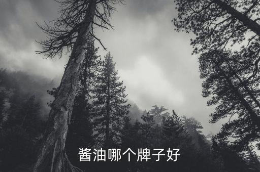 北京本地產醬油什么牌子,醬油排名第一的是什么