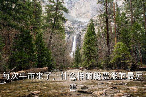 每次牛市來了，什么樣的股票漲的最厲害