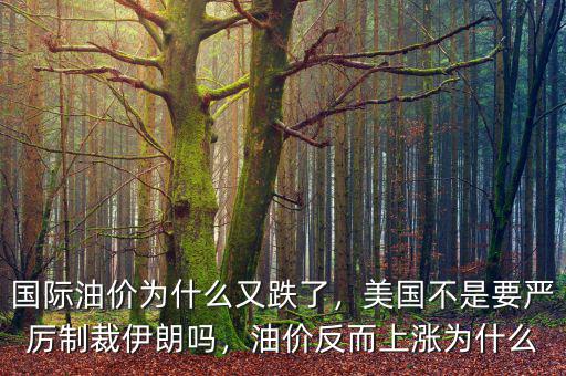 國際油價(jià)為什么又跌了，美國不是要嚴(yán)厲制裁伊朗嗎，油價(jià)反而上漲為什么