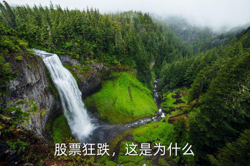 股票狂跌，這是為什么