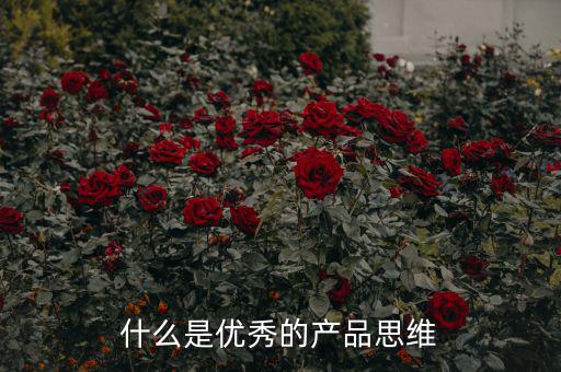 產品思維是什么,什么是優(yōu)秀的產品思維