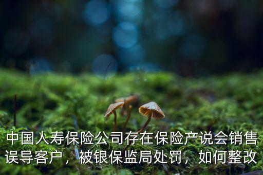 中國人壽保險公司存在保險產(chǎn)說會銷售誤導(dǎo)客戶，被銀保監(jiān)局處罰，如何整改
