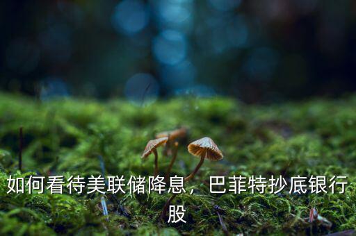 如何看待美聯(lián)儲(chǔ)降息，巴菲特抄底銀行股