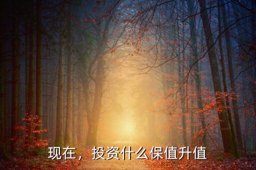 現(xiàn)在，投資什么保值升值