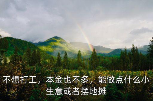 不想打工，本金也不多，能做點(diǎn)什么小生意或者擺地?cái)? class=