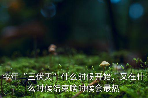 金博會是什么時候,又在什么時候結束