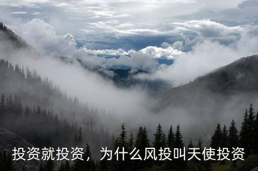 投資就投資，為什么風(fēng)投叫天使投資