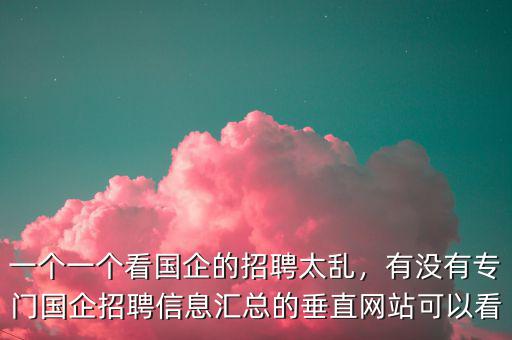 一個(gè)一個(gè)看國(guó)企的招聘太亂，有沒(méi)有專(zhuān)門(mén)國(guó)企招聘信息匯總的垂直網(wǎng)站可以看