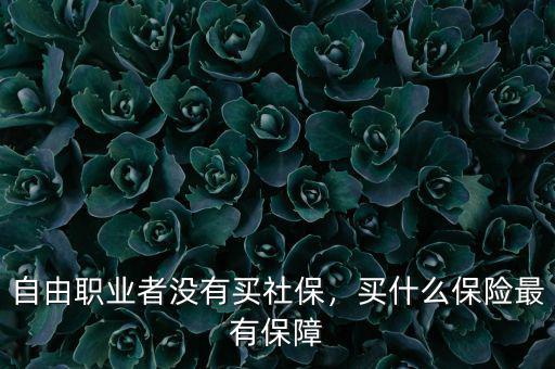 自由職業(yè)者沒有買社保，買什么保險最有保障
