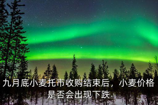 九月底小麥托市收購結(jié)束后，小麥價(jià)格是否會出現(xiàn)下跌