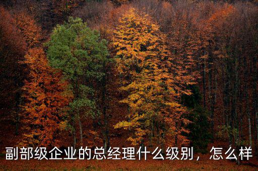 副部級(jí)企業(yè)的總經(jīng)理什么級(jí)別，怎么樣