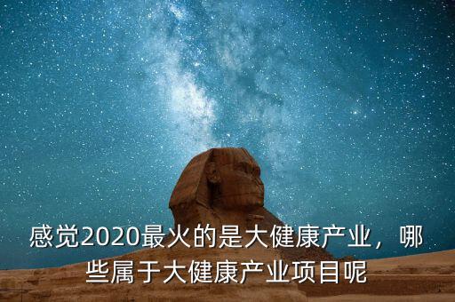 感覺2020最火的是大健康產(chǎn)業(yè)，哪些屬于大健康產(chǎn)業(yè)項(xiàng)目呢