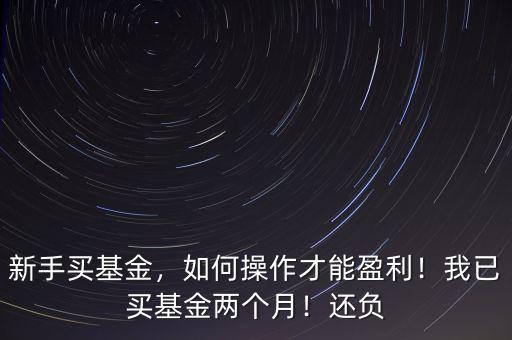 新手買基金，如何操作才能盈利！我已買基金兩個(gè)月！還負(fù)