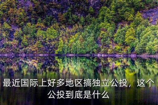 最近國際上好多地區(qū)搞獨(dú)立公投，這個(gè)公投到底是什么