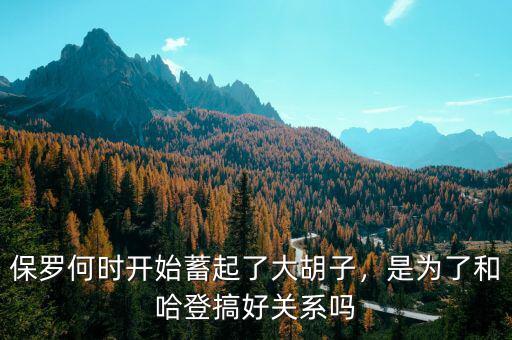 保羅何時(shí)開始蓄起了大胡子，是為了和哈登搞好關(guān)系嗎