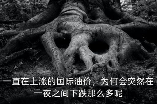一直在上漲的國際油價，為何會突然在一夜之間下跌那么多呢