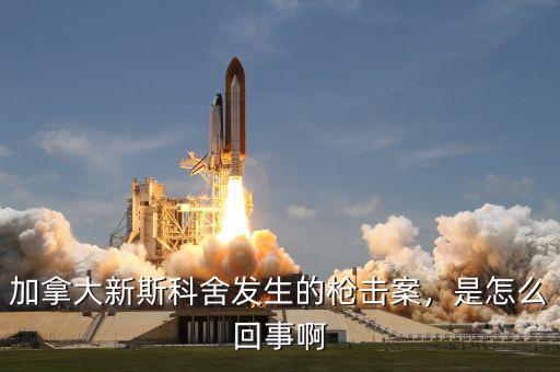 加拿大新斯科舍發(fā)生的槍擊案，是怎么回事啊