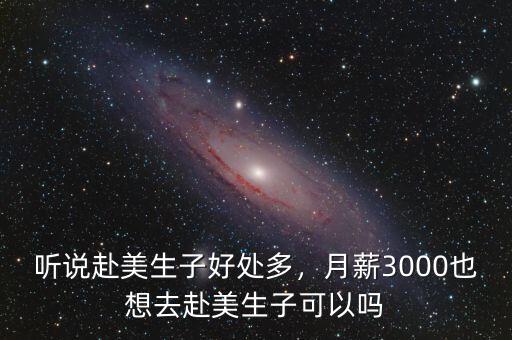 聽說赴美生子好處多，月薪3000也想去赴美生子可以嗎