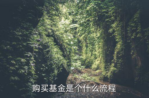 購(gòu)買(mǎi)基金是個(gè)什么流程