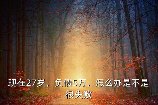 現(xiàn)在27歲，負(fù)債5萬(wàn)，怎么辦是不是很失敗